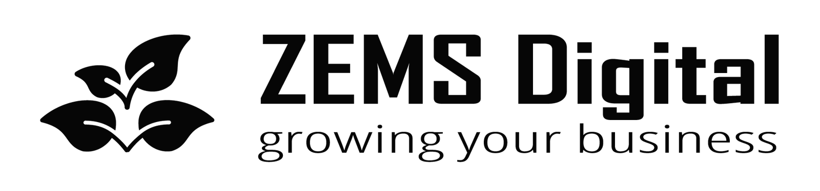 ZEMS-Digital logo